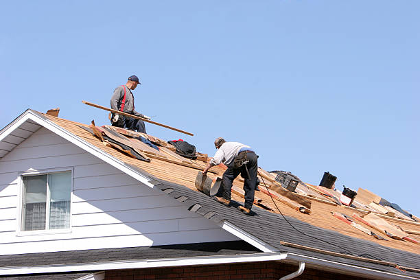 Best Cold Roofs  in Ferndale, PA